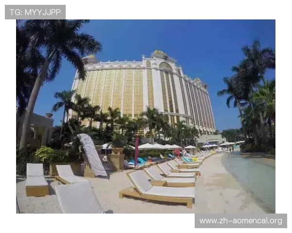 梅赌场的会员制度与积分奖励机制详解助你享受更多专属福利